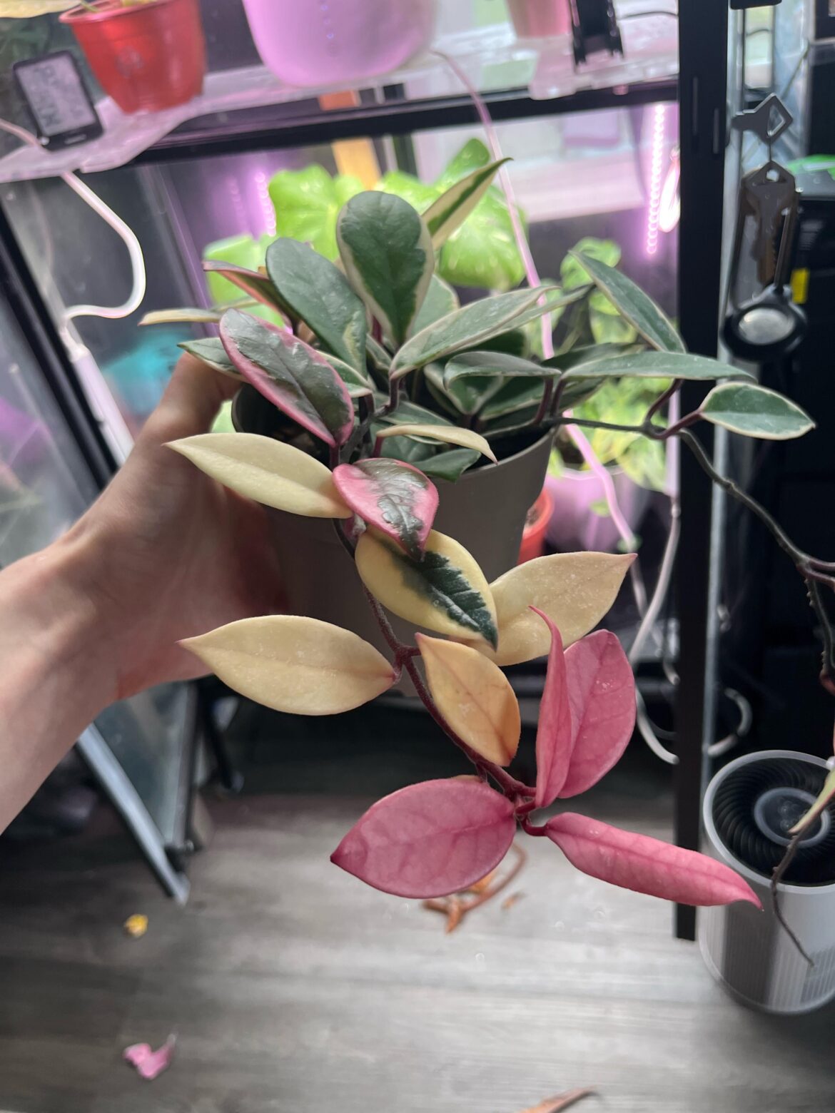 Do I just have to cut this?