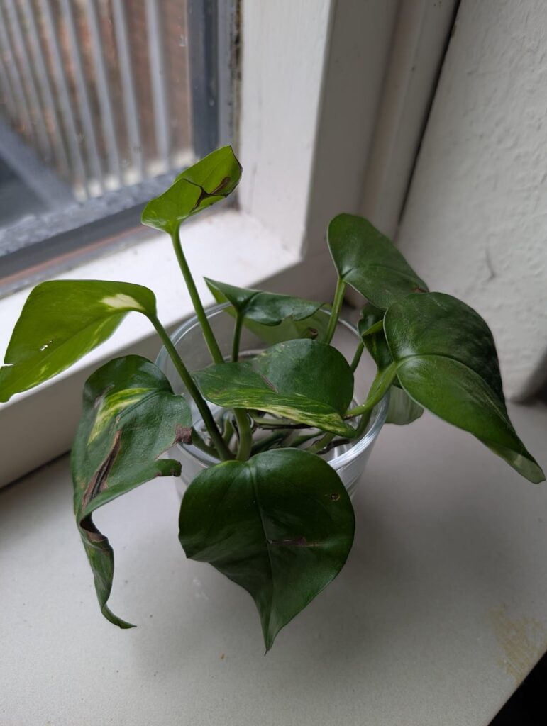 It's happening! 🥹