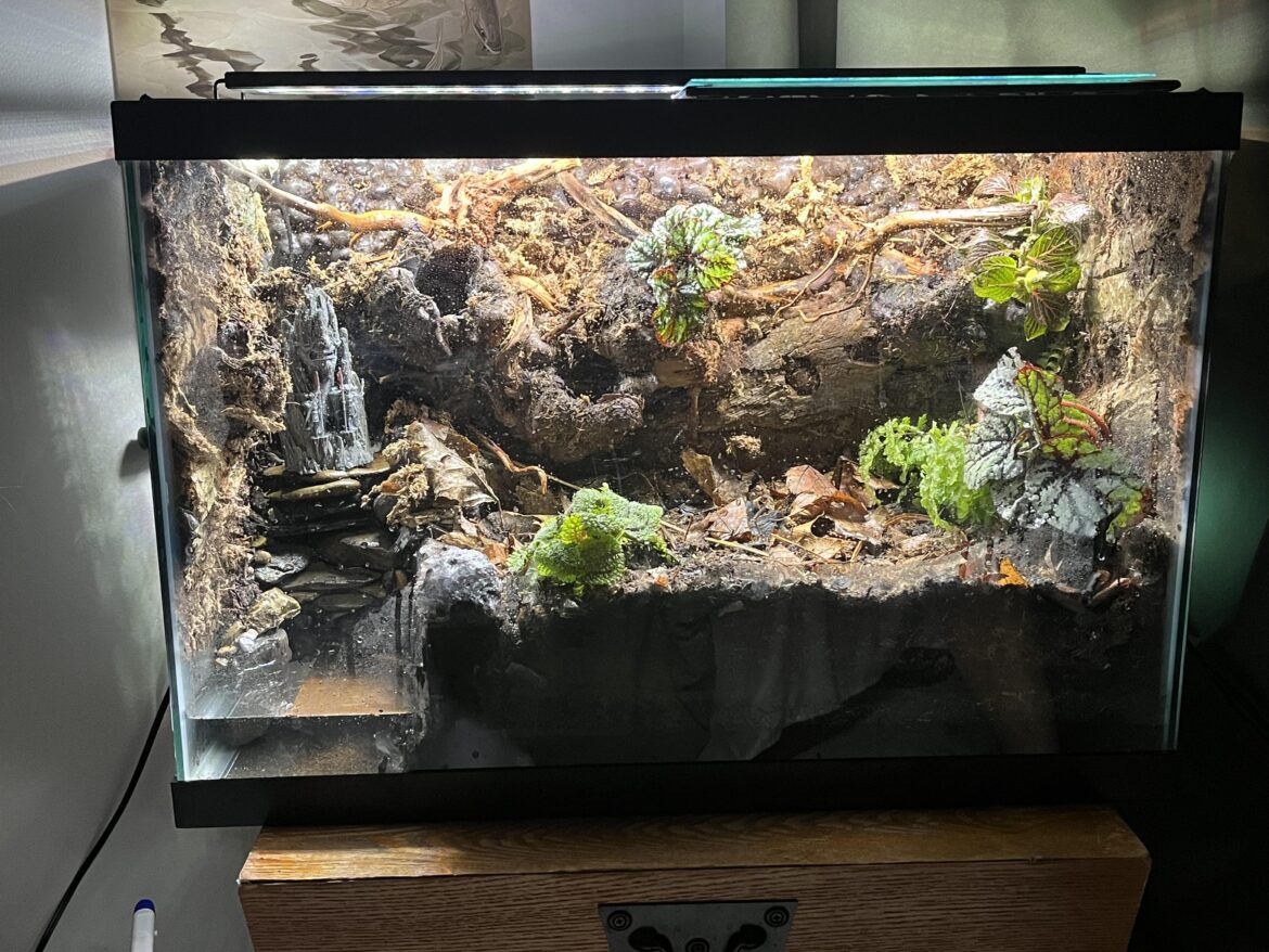 Still working on mine . What hydrometer is best for a 20 gal tank ?