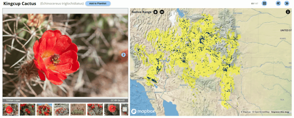 Free resource to find native and cultivable cacti for your exact location