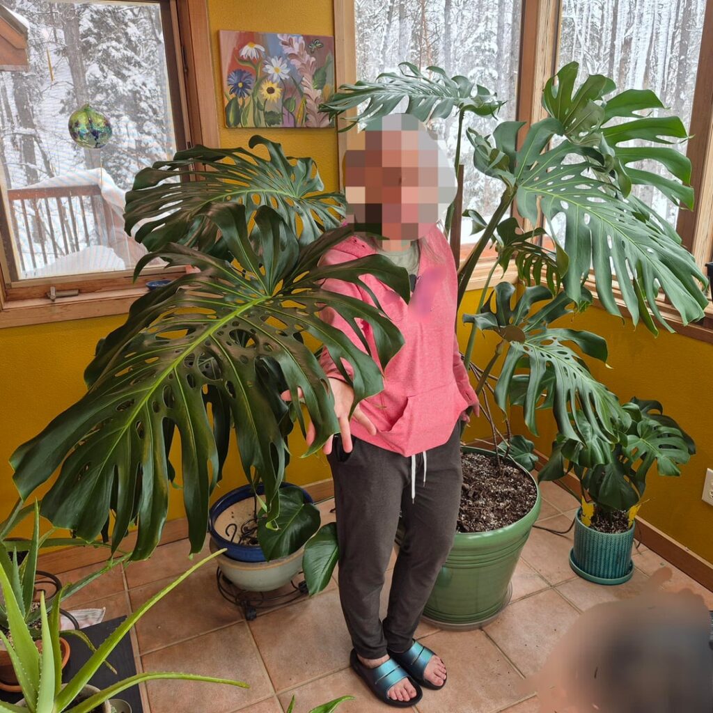 My In-Laws Are Plant Whisperers My In-Laws Are Plant Whisperers