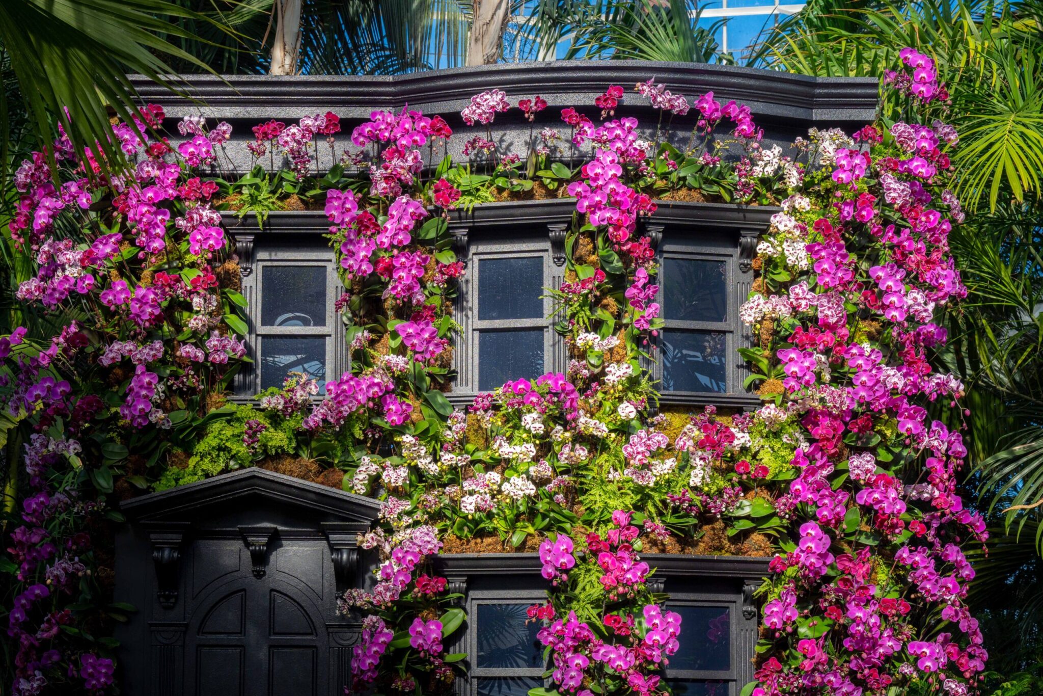 Brownstone featured in “The Orchid Show: Mr. Flower Fantastic’s Concrete Jungle,” on view at NYBG in the Bronx.