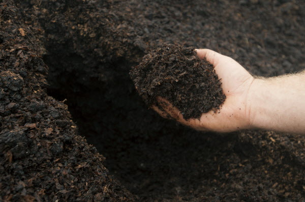 Soil testing and compost tips Soil testing and compost tips