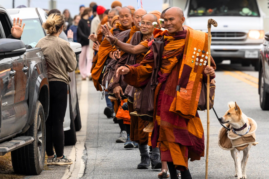 monks, Buddhist, walk, peace, Buddhism