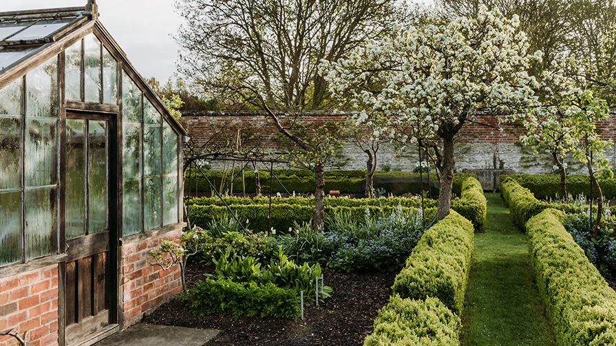What to plant in March (and other gardening tasks for the month) What to plant in March (and other gardening tasks for the month)