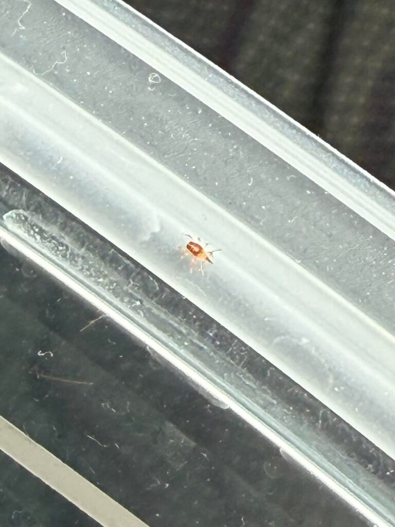 Should I be worried?