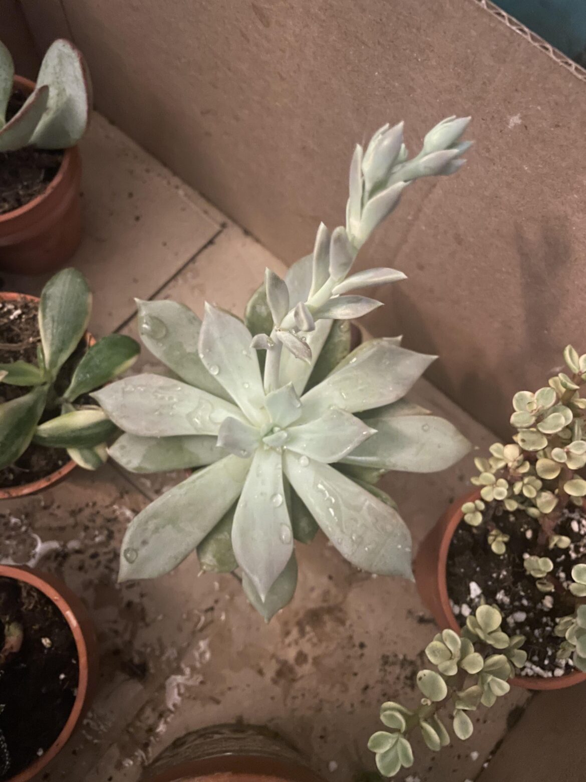 what can i do with this little babe?