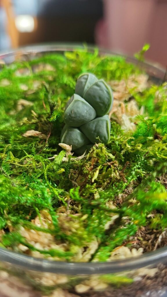 What's the name of this guy?