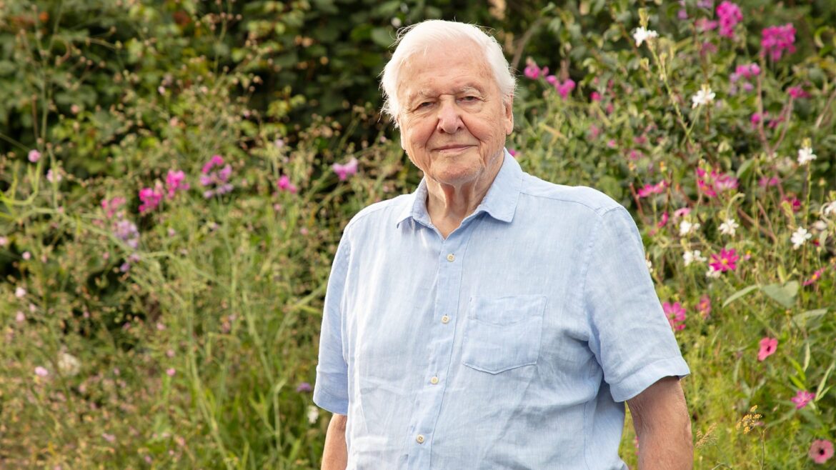 Sir David Attenborough reveals the animal characters inhabiting the hidden world right on our doorsteps Sir David Attenborough reveals the animal characters inhabiting the hidden world right on our doorsteps