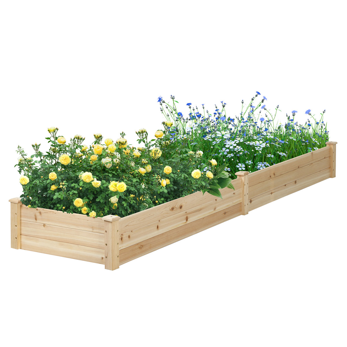 Loon Peak® Mclawhorn 8 Ft X 2 Ft Wood Raised Garden Bed & Reviews | Wayfair