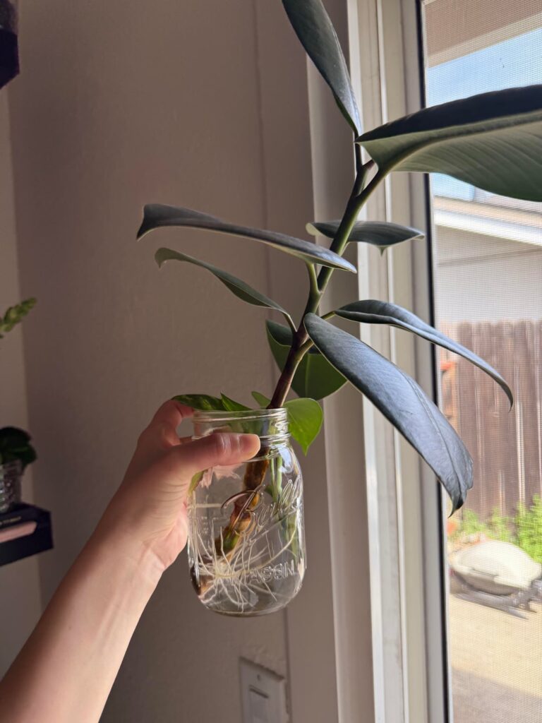 Is she ready?