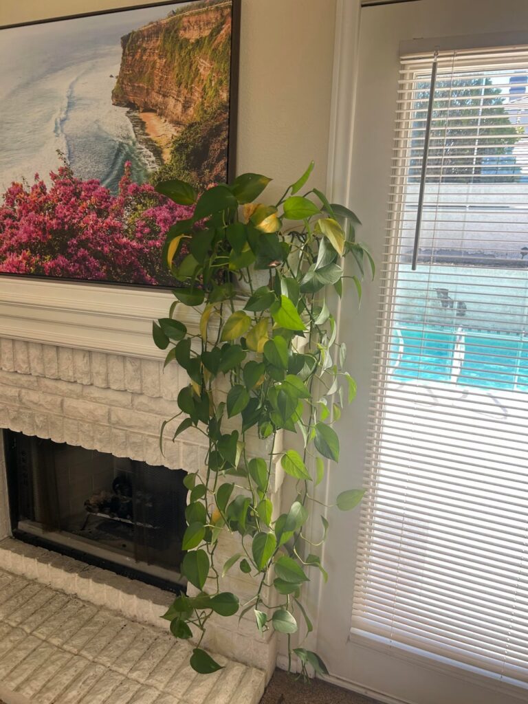 why is she dying and how can I help? i’m