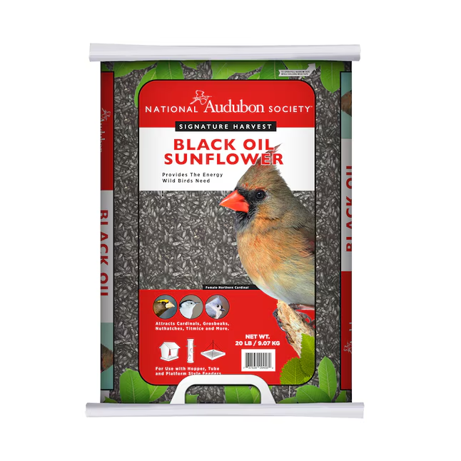 Black oil sunflower seed bird feed