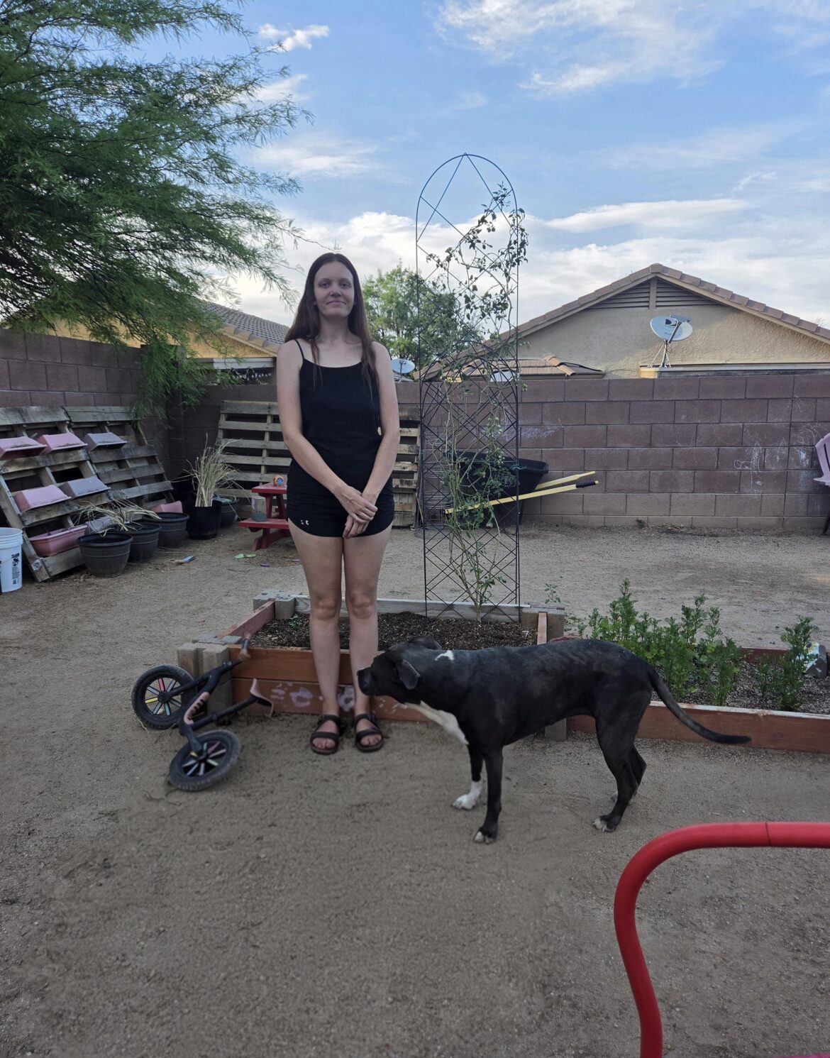 2nd year cherry tomatoes