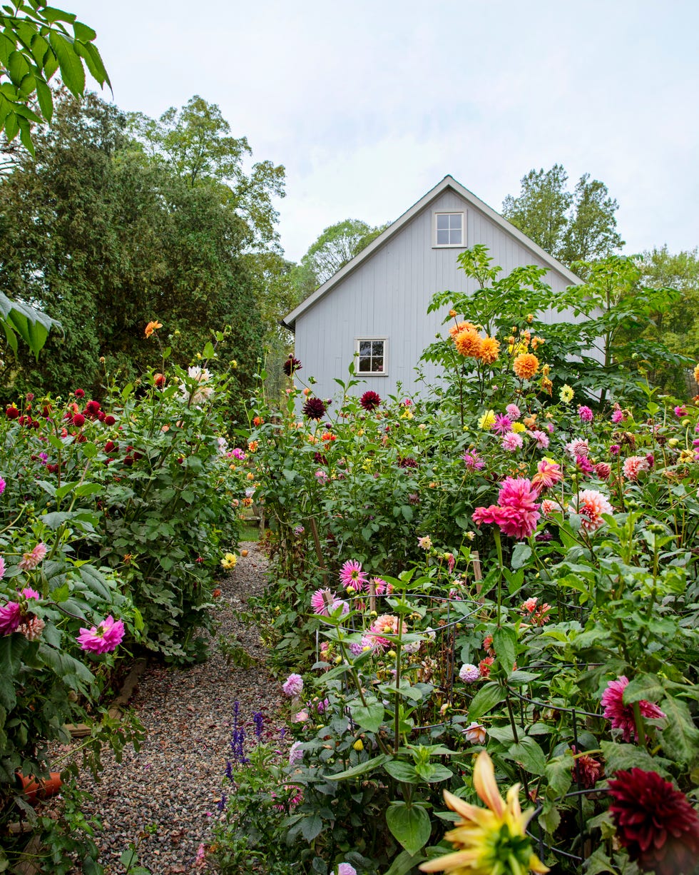 cottage garden cottage garden