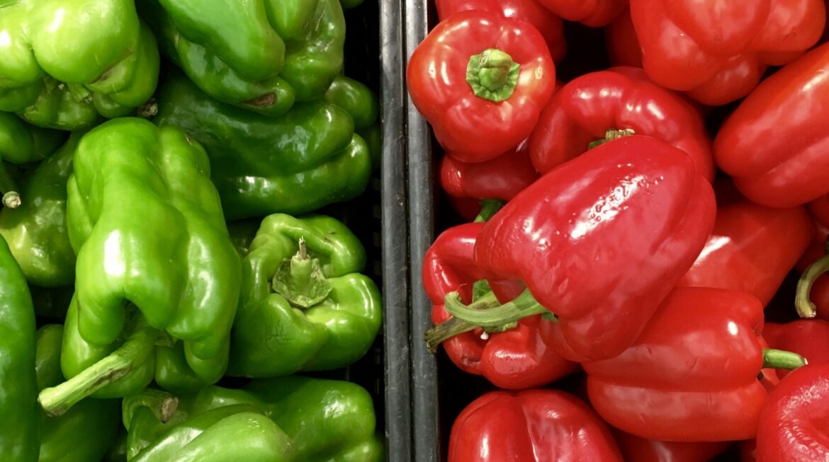 Dakota Gardener: Garden Influencers Don’t Understand Birds & Bees