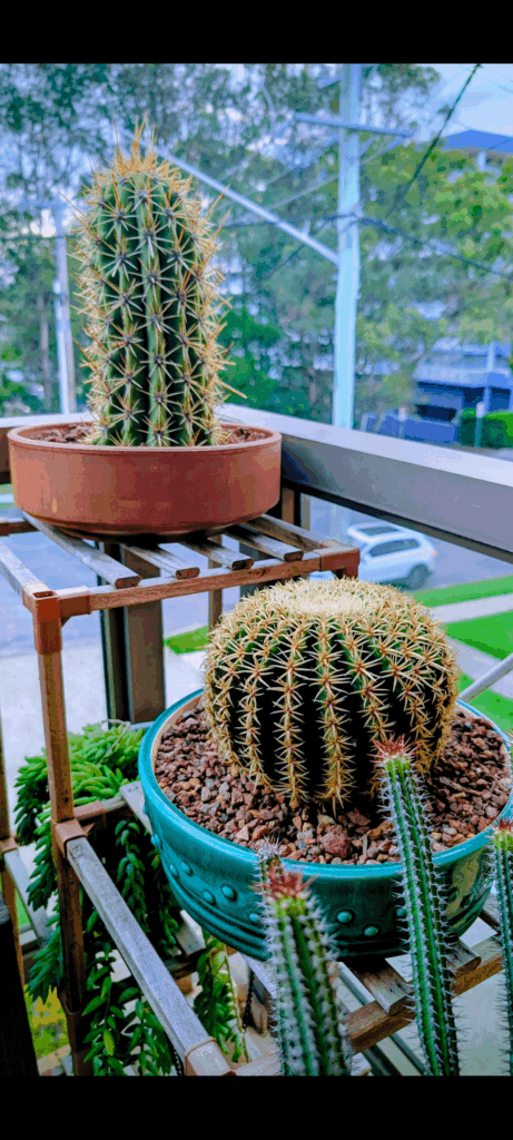 Some favourites that caught my eye this afternoon