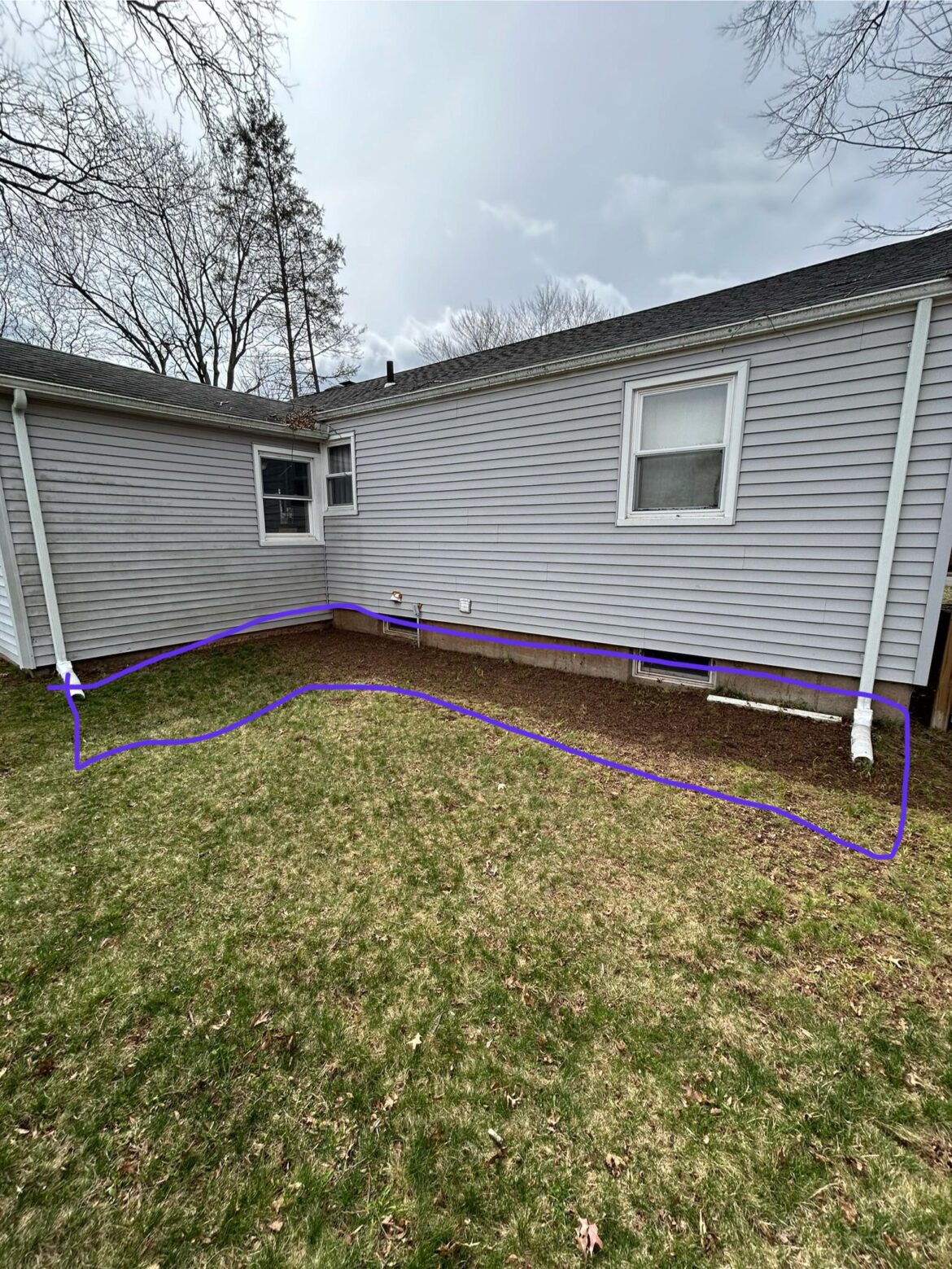 Zone 7b, don’t know what to plant in this corner