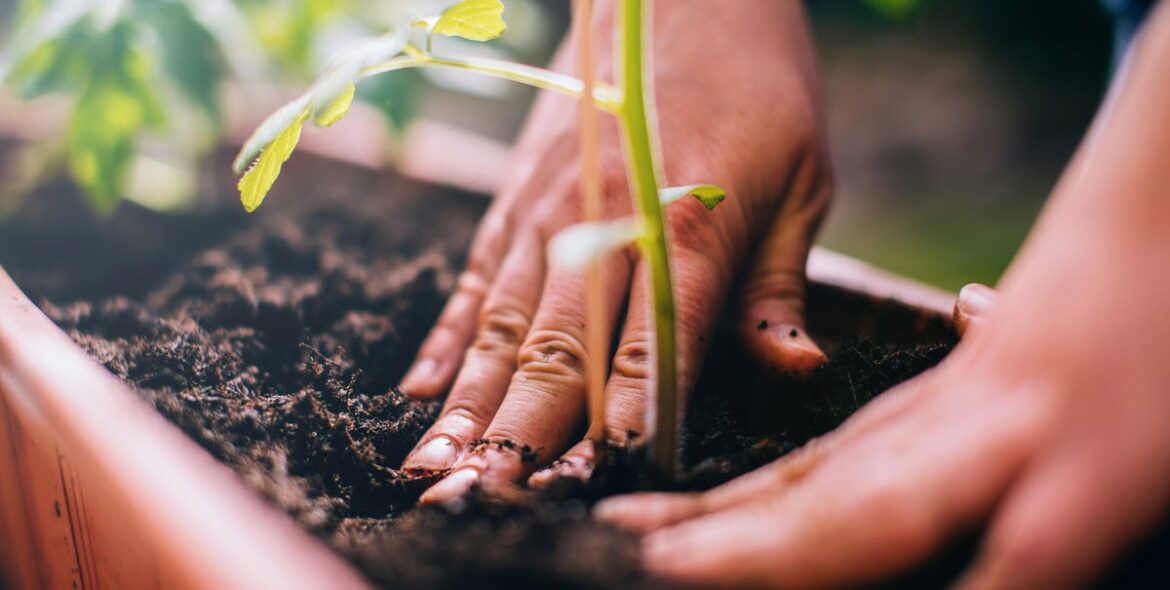 The Spring Soil Mistakes Gardeners Make (and How to Fix Them)