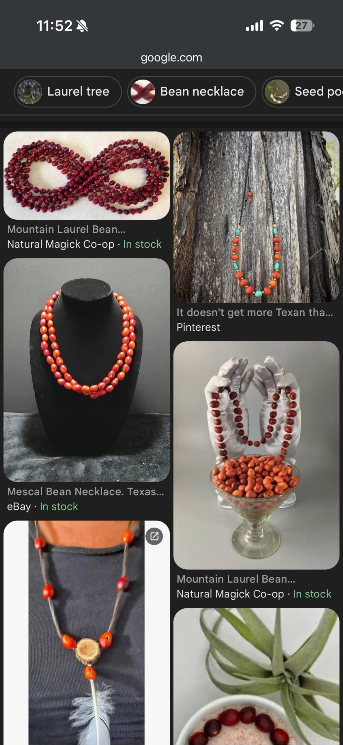 Mountain Laurel Seed Jewelry Mountain Laurel Seed Jewelry