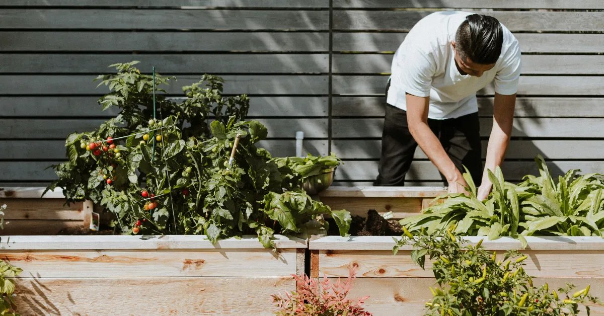 prepare garden for summer