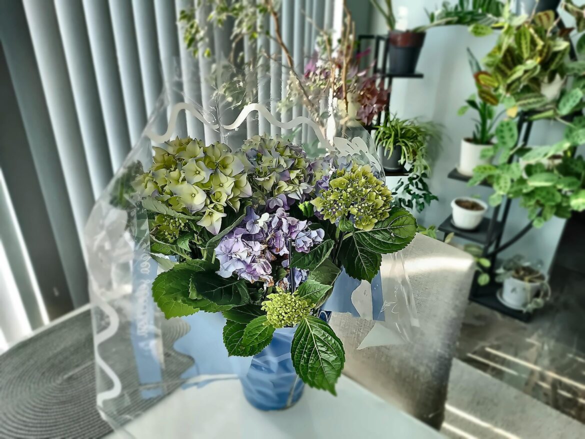 Flowers for my girl on International Women's Day 🌸