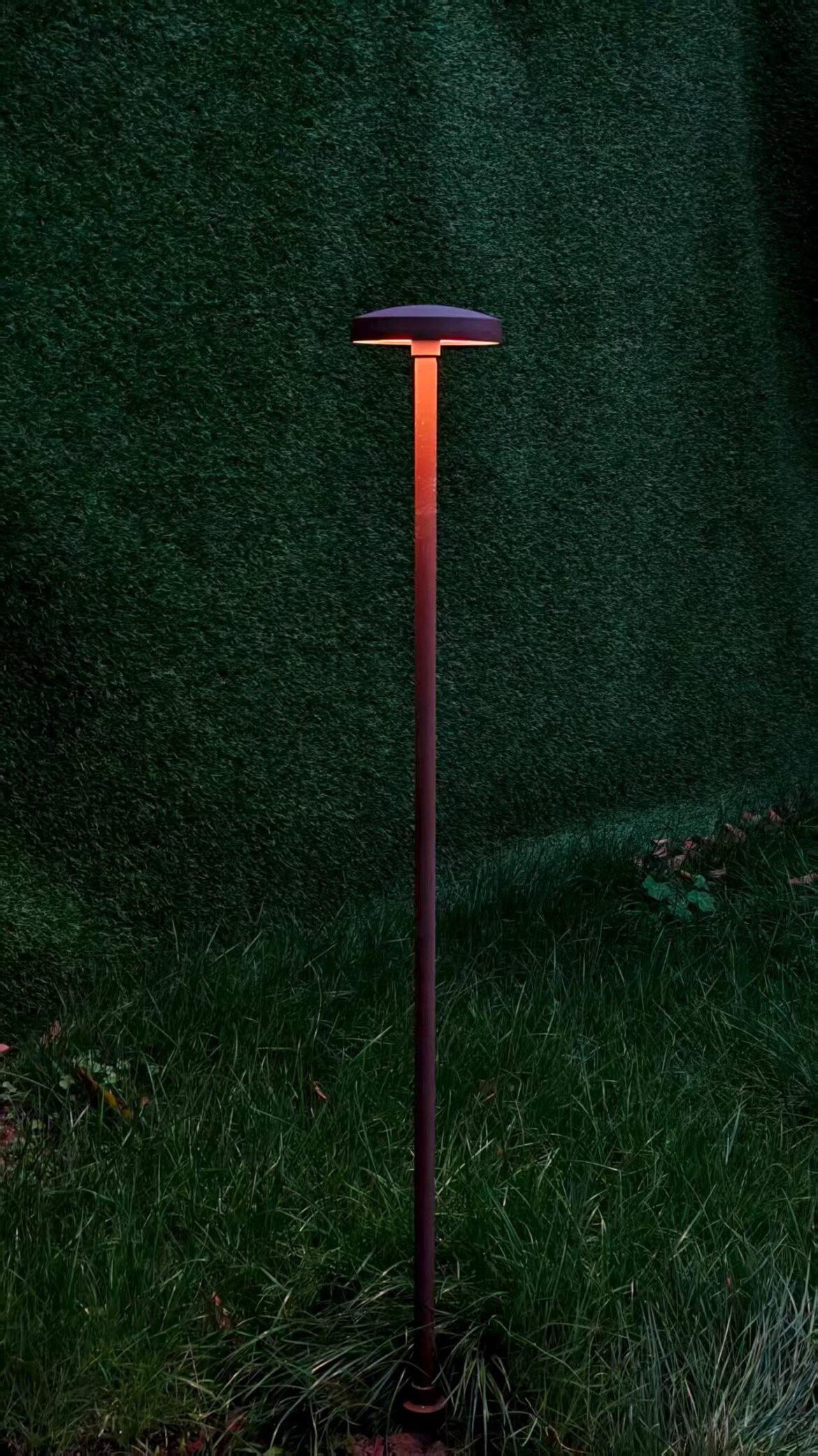 The new bollard lights installed at the farm, aren't they beautiful？