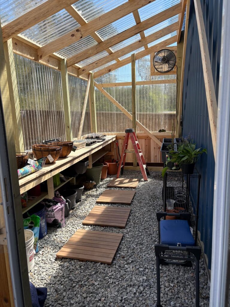 My greenhouse