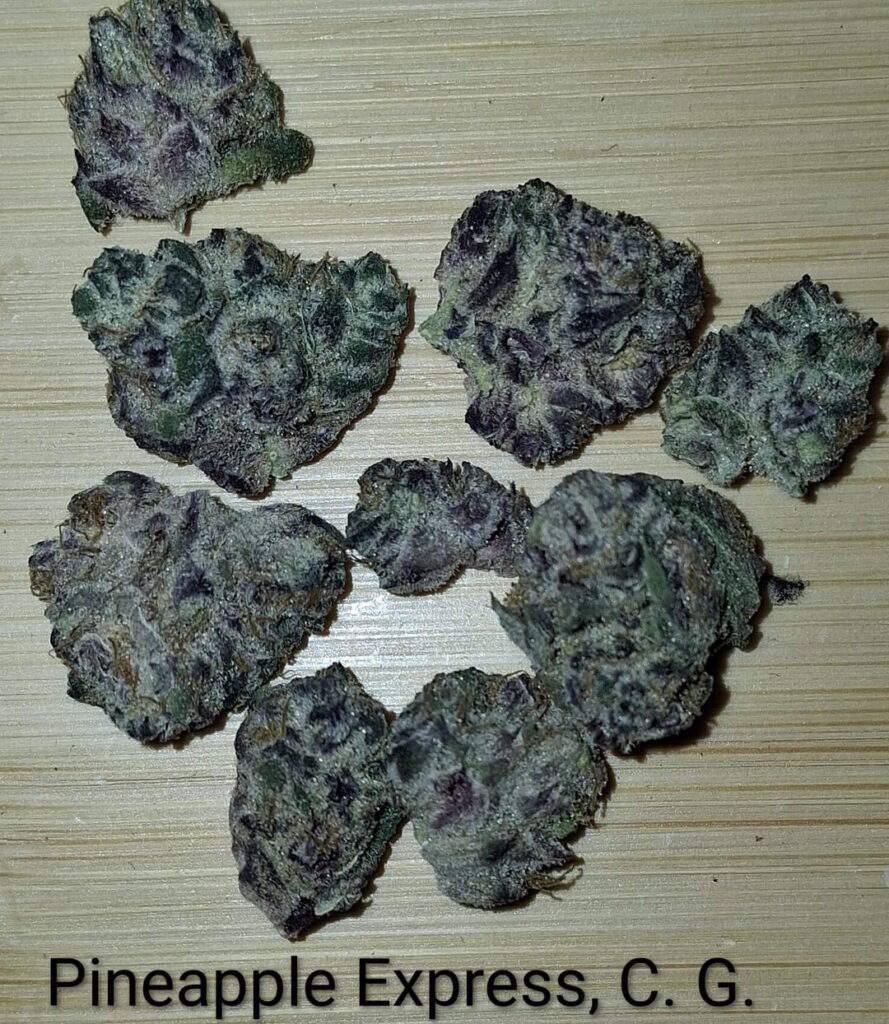 “Purple” Pineapple 🍍 Express, CG "Purple" Pineapple 🍍 Express, CG