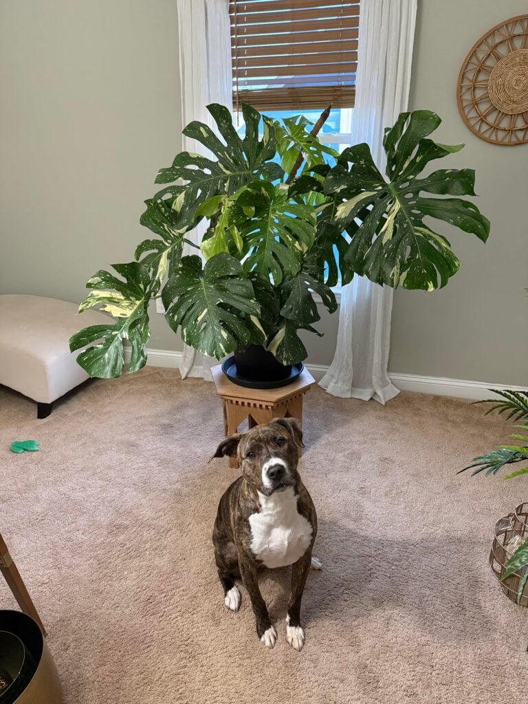 Newbie, help