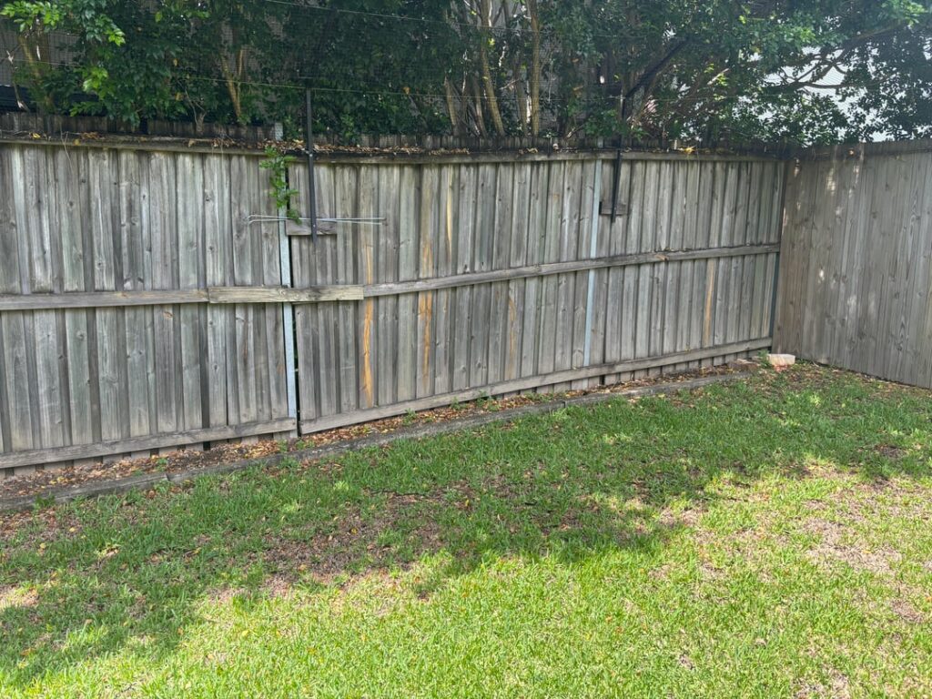 Ideas of what to plant here