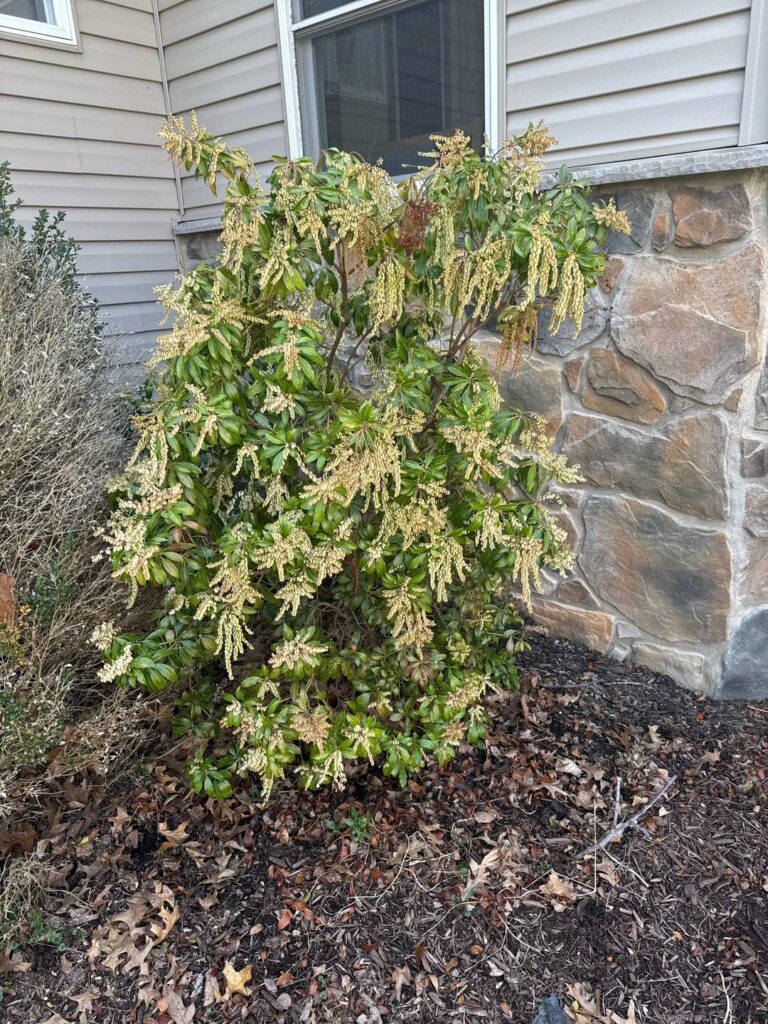 What is this?