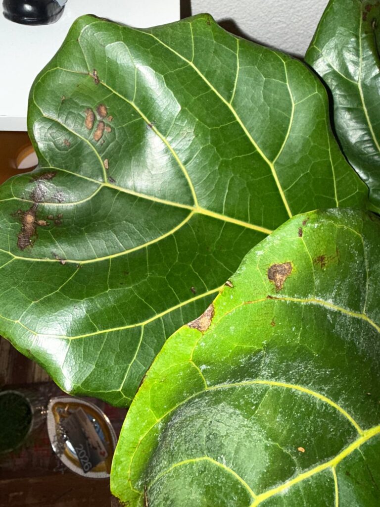 What‘s going on? Help!