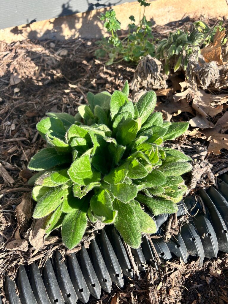 What is this?