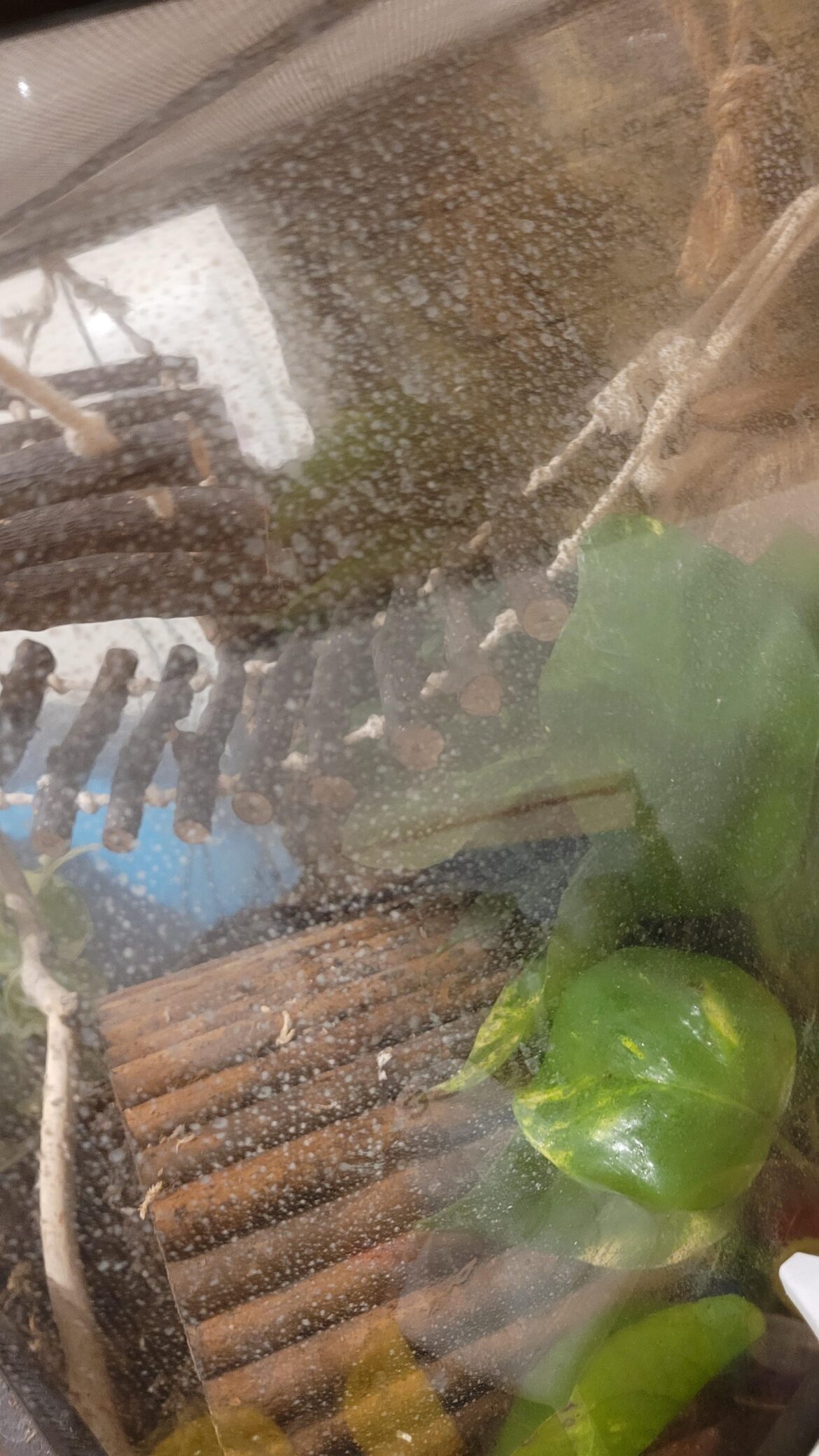 How do I clean water stains off the glass?