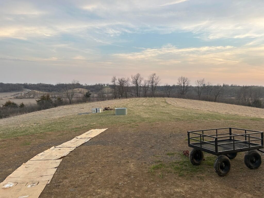New property, need suggestions