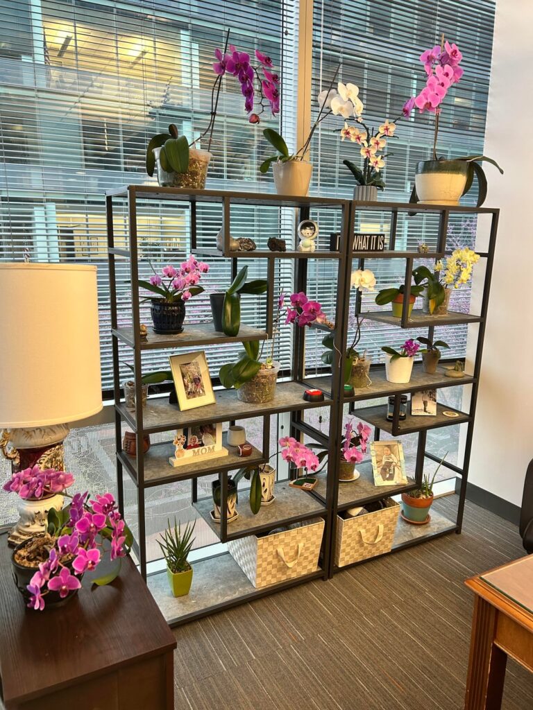 This year’s office blooms! This year’s office blooms!