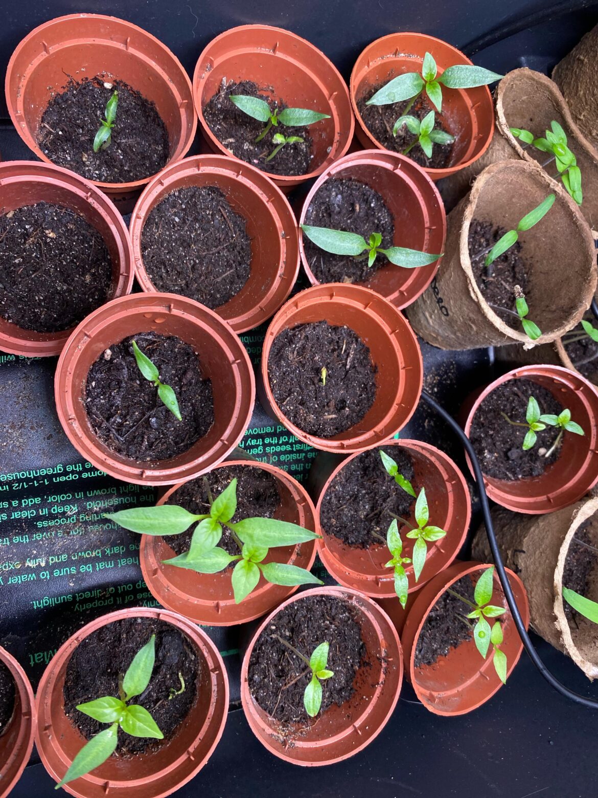 Is this going well?