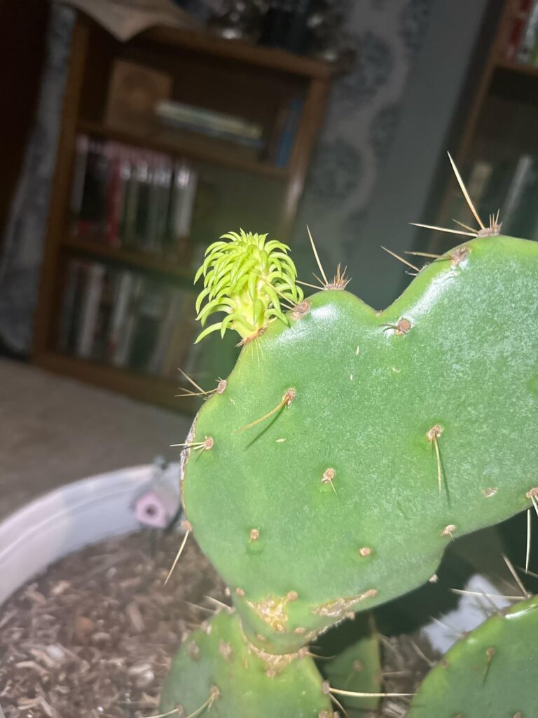 What is this?? I