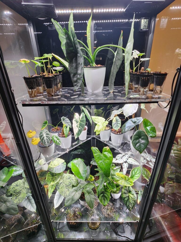 Cabinet update