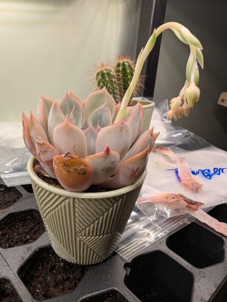 😍
