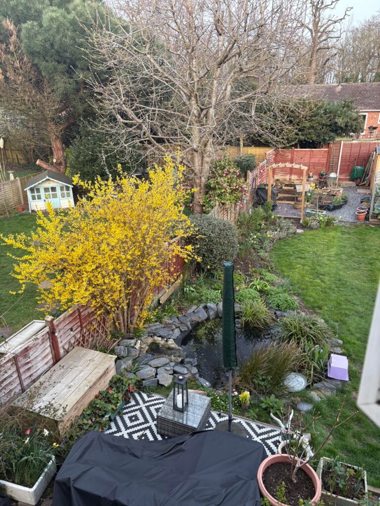 We are selling our house and i am going to miss this space so much