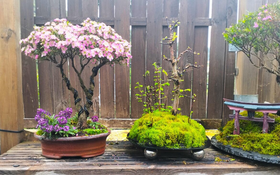 Spring is the best season......