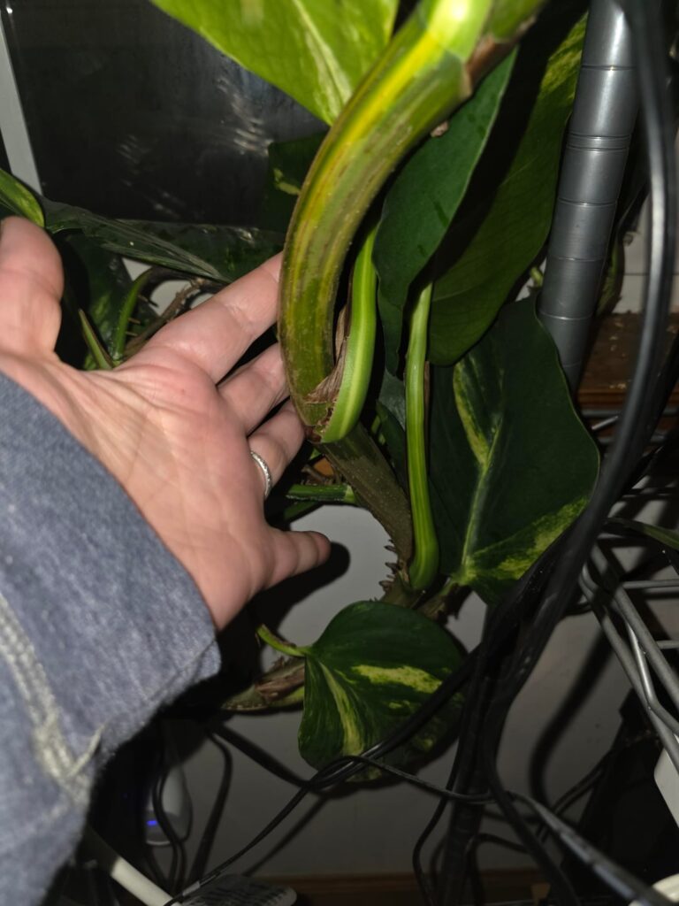 Up and out...of space