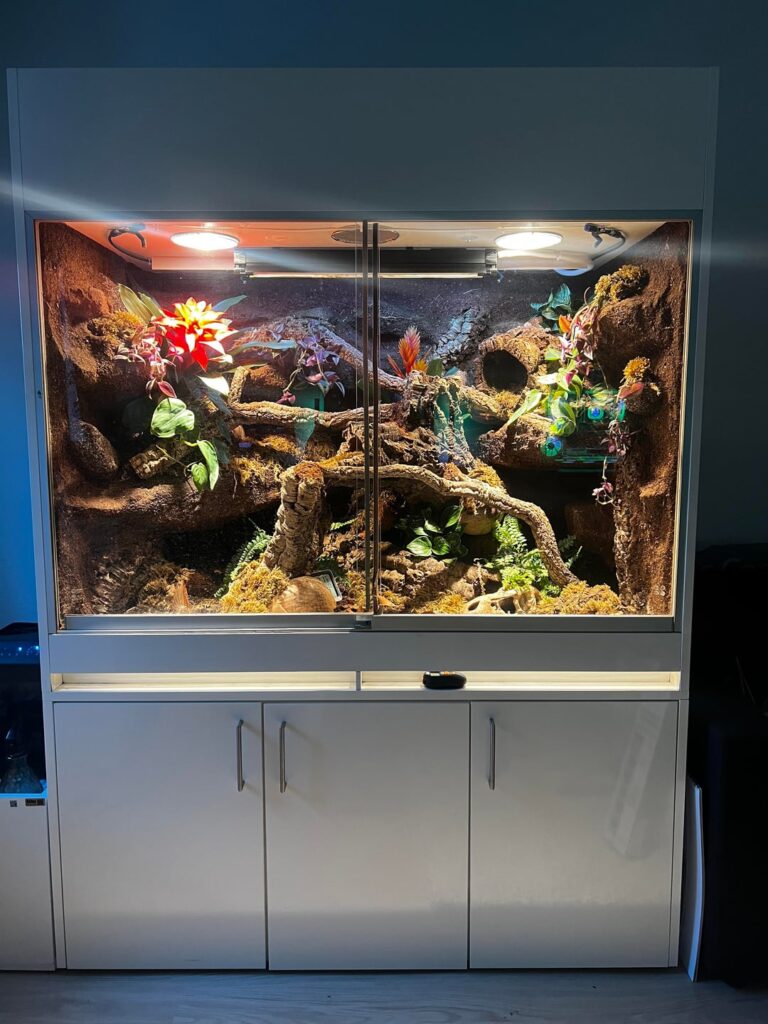 First bioactive Leachianus setup – feedback welcome