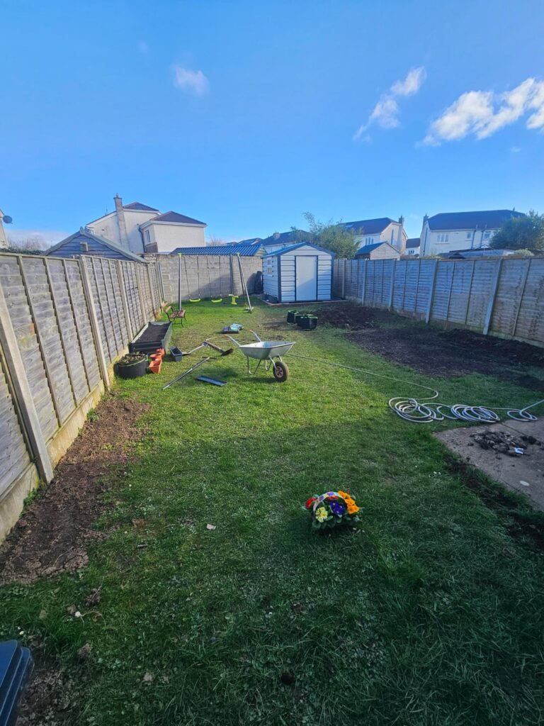 Garden advice and ideas