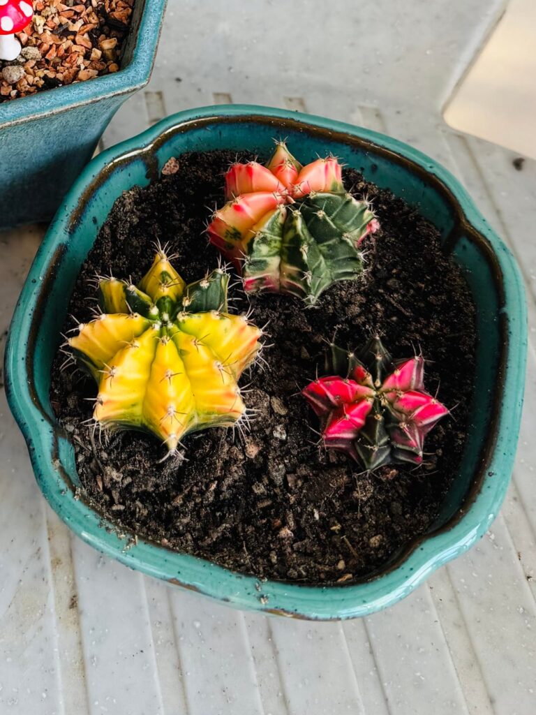 Extreme colour transformation
