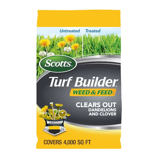 Lowe's grass seed
