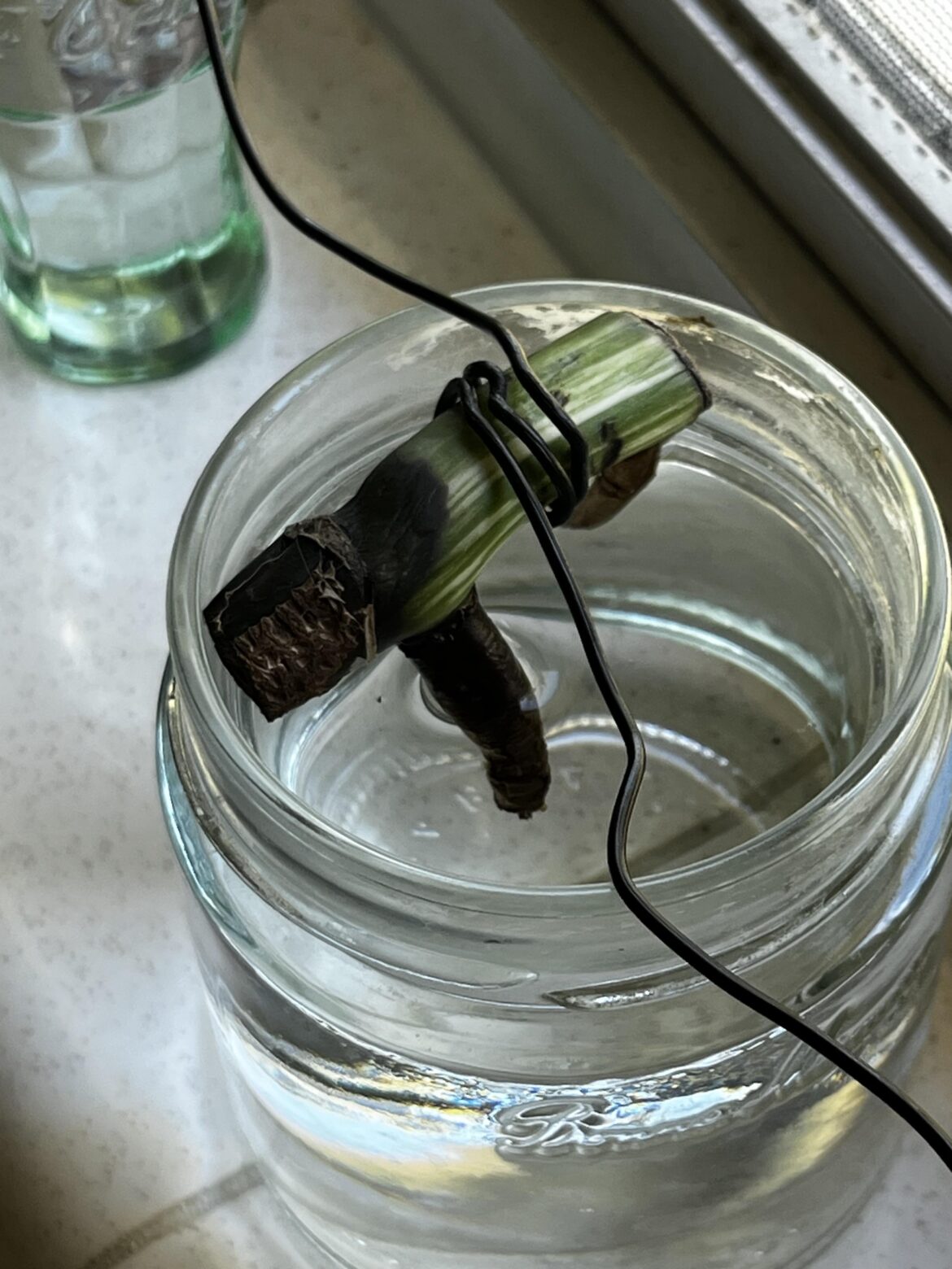 What we thinking? Salvageable?