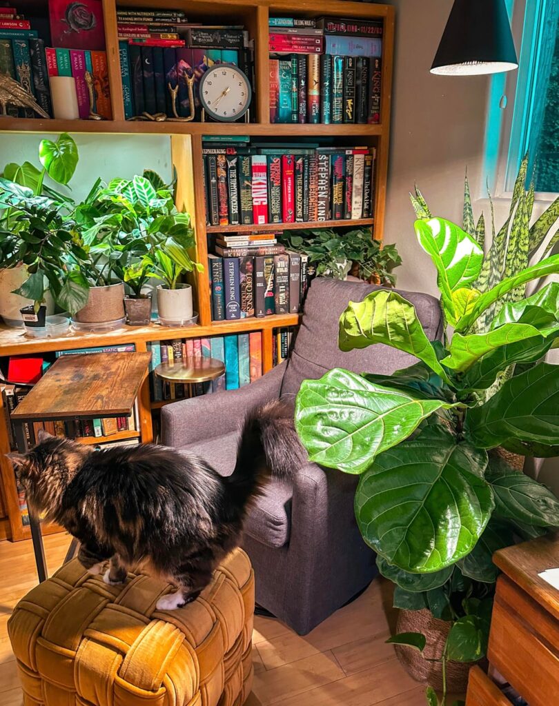 Repot- did I mess up?